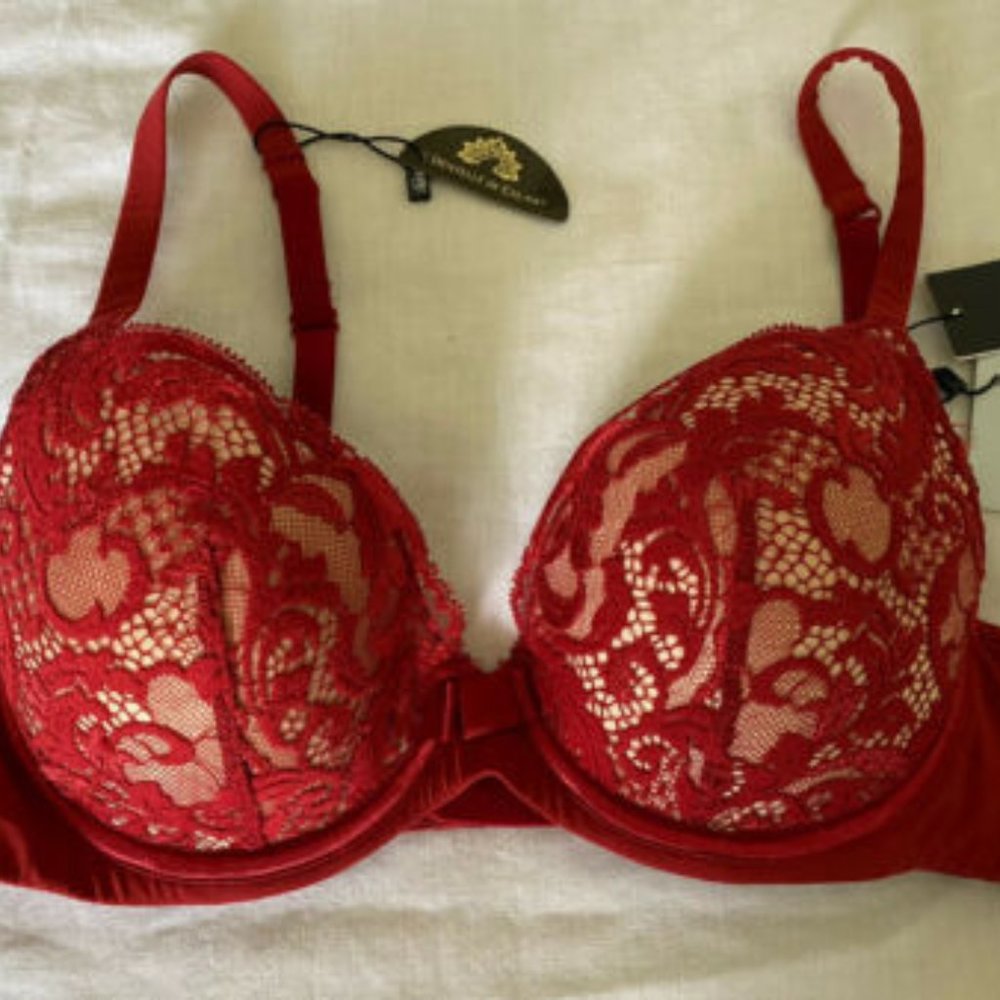 NWT NWT LOU PARIS Burgundy Lace Bra # 21615